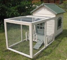 Enclos A Lapin Exterieur Recherche Google Lapin Cottage Basse Cour