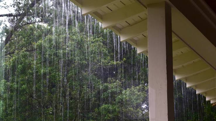 Rain Photography Tips: How to Capture Emotion in Every Storm