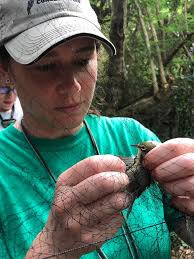 Team Spotlight: Sarah Sloan has woked at Fort Wayne Zoo for 5 years. She  started in Children's Zoo and now is a veterinary technician. This is  Sarah's first time here in Saipan.