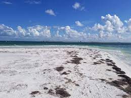 Honeymoon Island Fl Honeymoon Island Favorite Places Honeymoon