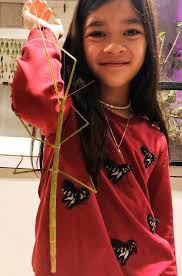 Another mimic? ID help please. Houston, TX.