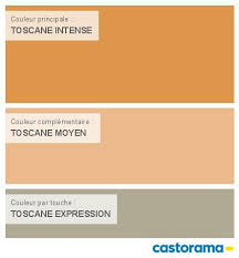 Peinture Toscane Intense Dulux Valentine Nuancier Peinture Couleur Taupe Peinture Couleur