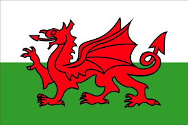 The wales flag, or red dragon, or y ddraig goch, is the national flag of this constituent nation of the united kingdom. Wales The Welsh Dragon Flag 30 X 45cm Chasnewensmarine