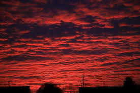 The first international movie by german cult director peter thorwarth. Under A Blood Red Sky By Felixdcat Ephotozine