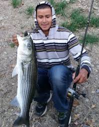 Castaic Lake Fishing – Bait Merchant | Custom Baits