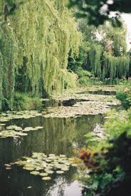 Green willow and willow wife are two tales in japanese literature that tell the story of young lovers. Top 5 Trees In Films Kew