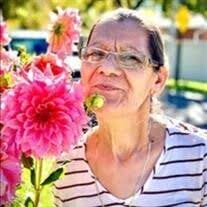 Julia Avalos Garcia Obituary