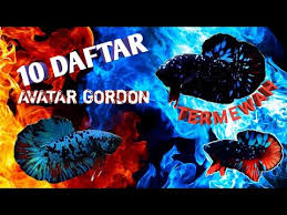 It has a population of 57,013. Viral 10 Daftar Cupang Avatar Gordon Series Youtube