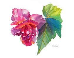 Begonia Watercolor Art Print By Pat Yager In 2021 Watercolor Art Prints Watercolor Images Watercolor Art