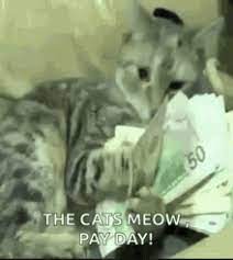 Check spelling or type a new query. Money Cat Gifs Tenor