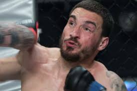 We don't have authority over pro fights,' says Irish MMA body