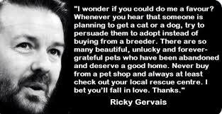 Jarad Johnson (@JaradJlendej)