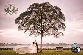 Wedding photographers have the distinct honor of chronicling one of the most important events in a couple's life together. Pin By Jeremy Quek On Prewedding Photography Prewedding Photography Pre Wedding Photoshoot Pre Wedding