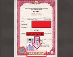 Nomor induk siswa nis nasional terdiri dari 10 digit angka yaitu 3 digit pertama tahun lahir pemilik ijazah dan 7 digit terakhir nomor pemilik ijazah yang sesuai denganoleh sistem di kemendikbud. Disini Letak Nomor Ijazah Sd Smp Sma Smk D3 S1 S2 Yang Benar