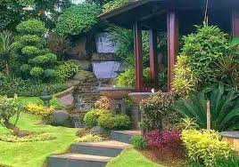 Rumah Minimalis Foto Taman Belakang Rumah