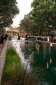 Houston Zoo School May Be Back In Session But The Zoo Is Still A Great Weekend Escape Let Us Show You Our Communit Houston Zoo Houston History Places To Go