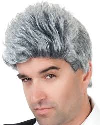 Eric Short Grey Wig