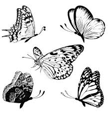 Set Black White Butterflies Of A Tattoo Vector Image On Vectorstock White Butterfly Tattoo Butterfly Black And White Butterfly Illustration