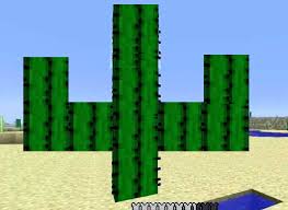 You do not need to be within 7 chunks (120 blocks) of your cacti farm in order for it to grow like you do with sugar cane cacti do very much exist on the xbox version. Cactus Based On The Prickly Pear Minecraft Feedback