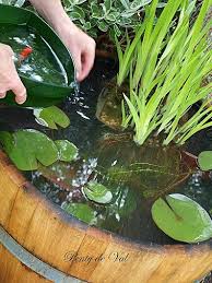 Tuto Tonneau Bassin Dans Le Jardin Bassin De Jardin Jardin D Eau Jardins
