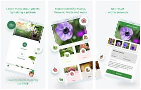 Free apps or which have at least a free version, trial, or a way to get free credits. 9 Best Plant Identification Apps For Android And Ios 2021 Regendus