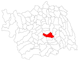 Cherestea brad de la producatori, distribuitori, prestatori servicii directi prezenti pe bizoo.ro. File Racaciuni Jud Bacau Png Wikipedia