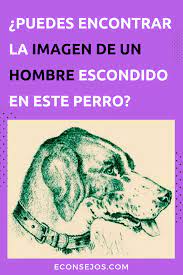 Enigma Encuentra El Hombre Con Sombrero En La Imagen Trucos Mentales Acertijos Mentales Acertijos Visuales