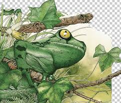 Maybe you would like to learn more about one of these? True Frog Amazon Rainforest Tropical Rainforest Tropics Png Clipart Amphibian Animal Animals Drawing European Tree Frog