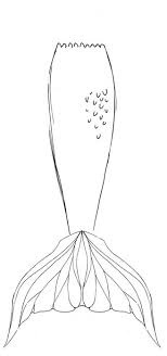 Mermaid Drawing Refrence Sheet Wiki Artists For Artists Amino Mermaid lets you simplify documentation and avoid bulky tools when explaining… mermaid drawing refrence sheet wiki