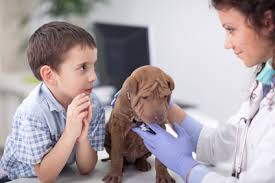 How much do puppy shots cost is a common concern for new pet parents.we list our top sites to buy pet meds online. Puppy Shots An Owner S Guide