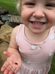 Eloise was introduced to baby frogs and tree swings courtesy of Chuck  Peacock this weekend!