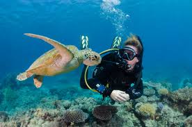 Our top priority is for you, your friends and family to have a great time! Great Barrier Reef Tour Scuba Dive Snorkel Tour 3 Reef Sites
