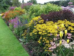 Border Garden How Can So Many Plants Be In Bloom At Once Perennial Border Plants Border Plants Landscape Borders