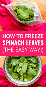How To Freeze Spinach The Easy Way Frozen Fresh Fresh Spinach Recipes Frozen Spinach