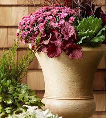 Check spelling or type a new query. Lowe S Home Improvement Your Favorite Fall Flowers Are Back Hurry In Get 5 For 5 1 Pint Garden Mums Before They Re All Gone Http Sm Lowes Com Bbwdq Selection Varies By Location Offer Ends 9 14 15