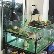 Turtle Tank Ideas Setup Guide And Affordable Habitats
