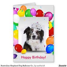 Australian Shepherd Dog Balloons Crown Birthday Card Zazzle Com Australian Shepherd Dogs Australian Shepherd Birthday Cards