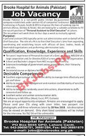 Clearly written descriptions help attract candidates that are qualified and interested. Brooks Hospital For Animal Lahore Jobs For Personal Assistant Ot Chief Executive Latest Advertisement Bk Jobs