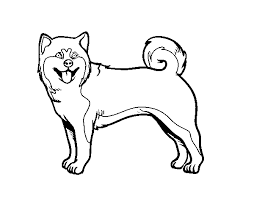 Shiba inu coloring pages at getcoloringscom free template. Akita Dog Coloring Page Coloringcrew Com