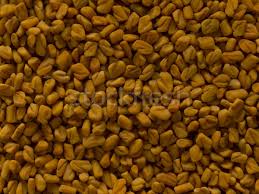 The fenugreek plant is an annual herbaceous forage legume with aroma. Malayalam Stock Photos Stock Images And Pictures Stockfresh