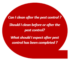 How long after pest control can you mop? After Pest Control Pnp Pest Control Phone 1300 296 964