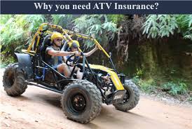 We do not insure three, six or eight wheelers or atvs/utvs with less than 150 cc's, however. Atv North Shore Insurance Brokers