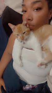 It's a pity that this cat has been left with the owner for a week without  taking care of it🥲