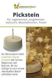 Pickstein Mineralstein 10 Kg Biotauglich Mit Loch Zur Aufhangung Huhner Futter Bio Huhnerfutter Legehennen