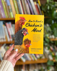 Hello Edith Wilford. It's so nice to see you again. #irises #inmygarden