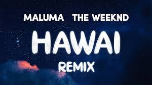 Puede que no te haga falta na', aparentemente na'— maluma. Maluma The Weeknd Hawai Remix Lyrics Letra Youtube