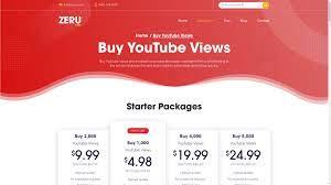 How to buy tiktok views. Buy Youtube Views Should You Be Doing It