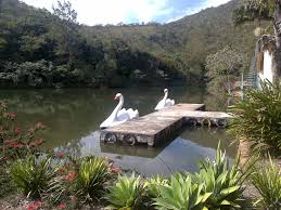Hotels near rinconada de silva, cristo de madera. Instituto Historico E Geografico De Tiradentes Balneario De Aguas Santa E A Capela De Nossa Senhora Da Saude Aguas Santas