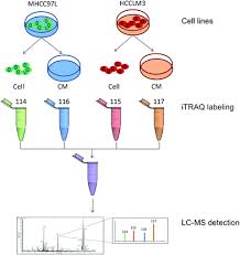 Simply attach the itraq to your luggage and feel safe knowing where it is. An Itraq Based Quantitative Proteomic Strategy To Explore Novel Secreted Proteins In Metastatic Hepatocellular Carcinoma Cell Lines Analyst Rsc Publishing