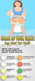 Color Of Your Urine Says About Your Health Way To Steal Healthy Health Tips Health Health And Beauty